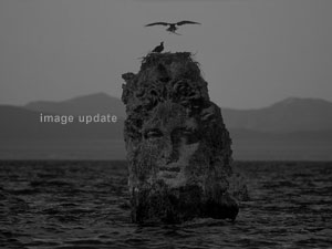 ttt - 3d fantasy art pictures